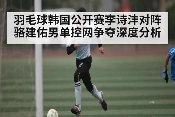 羽毛球韩国公开赛李诗沣对阵骆建佑男单控网争夺深度分析